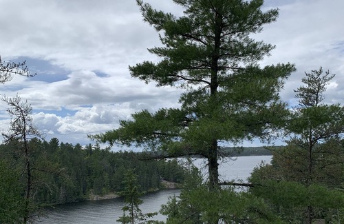 Northern Ontario Cottage | The Nest - Modern 3 Bedroom Cottage with Bunkie