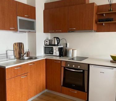 Shiligarnika Apartment | The New Inn