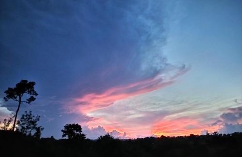 Khao Kho Other | The O'clock Farmstay Khaokor
