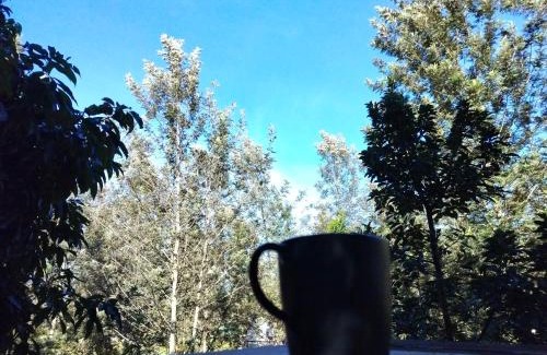 Khao Kho Other | The O'clock Farmstay Khaokor