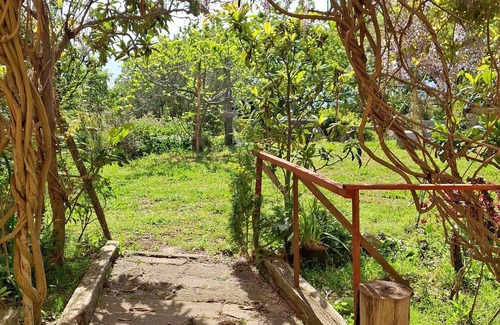 Paola Apartment | The Oaks (triple)