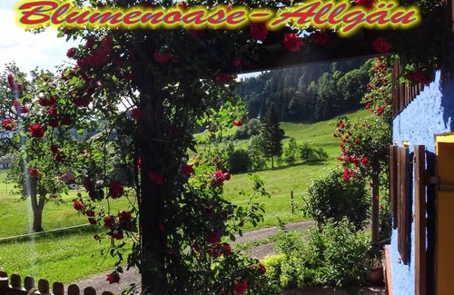 Schwanden Apartment | ❁ The oasis between Oberstdorf and Oberstaufen ❁ ♥ arrive - feel good ♥