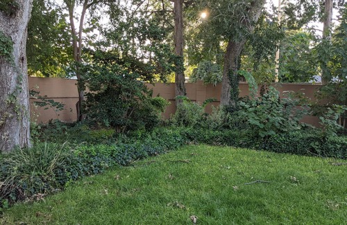 Carlsbad House | The Oasis: Guesthouse w/Lush Shared Yard & Hot Tub- Great Location!