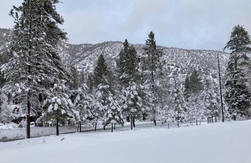 Pine Mountain Club Bed & Breakfast | The Old Bear BnB