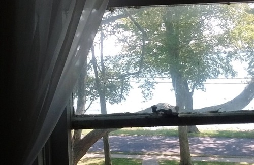 Kelleys Island House | The Old Nest Vacation Waterfront Home