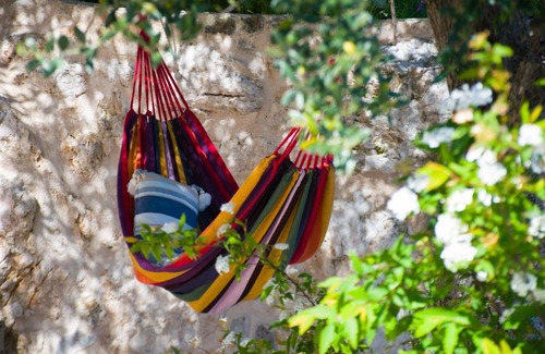 Aetos House | The Olive Cottage - Ithaca
