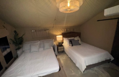 Rio Piedras Bed & Breakfast | The ONLY glamping site in the New Millennium Forest in San Juan, PR