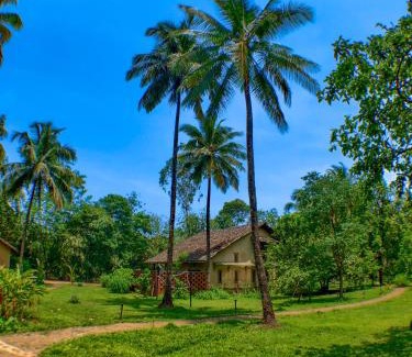 Belagavi Hotel | The Orchard Resort