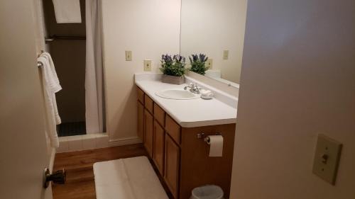 South Jordan House | The Orchard