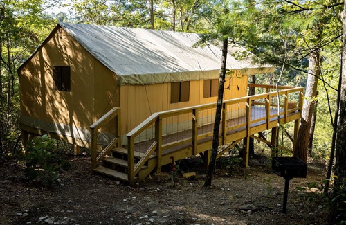 Primrose Cabin | The Oriole's Nest: GLAMPING IN THE CANOPY