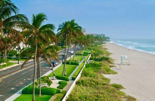 Palm Beach Apartment | The Palm Beach House - Tropical