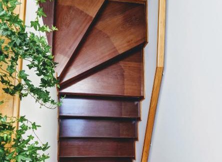 Furadouro House | The Palm House