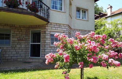 Szentendrei Apartment | The Pearl of the Danube Bend - Regina Apartman