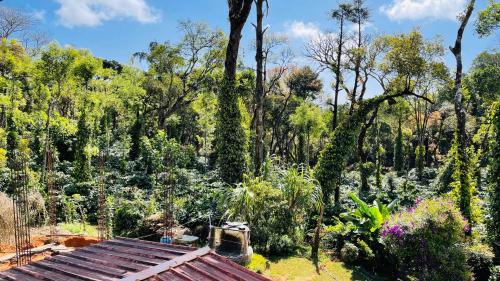Madikeri House | The Perch -Entire house. A Coffee Lover's Paradise