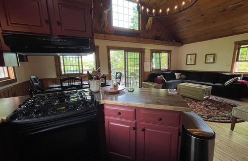Wetmore Cabin | The Perch! upscale cabin Overlooking Town Lake