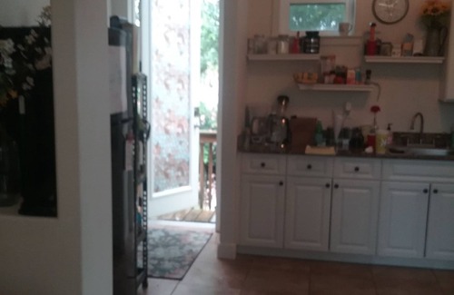 Gillespie Park Apartment | The Perfect Apartment to Explore Downtown