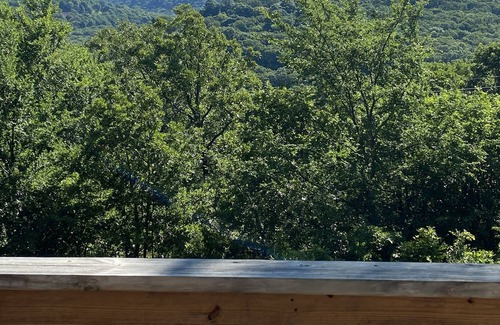Cookson House | The Perfect Couples Retreat 2 miles from Snake Creek Marina at Lake Tenkiller!!