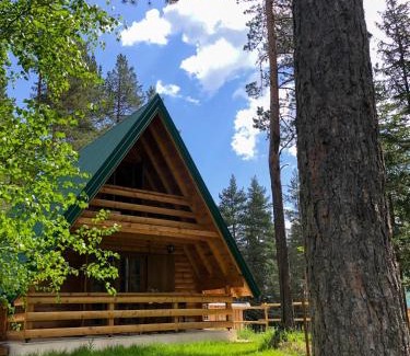 Zabljak House | The Pine Forest Cottage