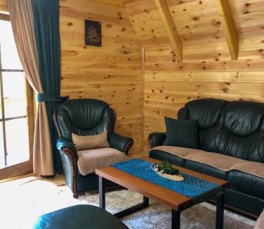 Zabljak House | The Pine Forest Cottage