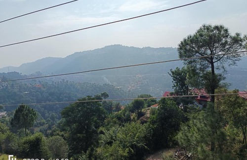 Kumarhatti Villa | The pine valley home stay
