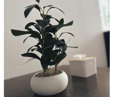Taman Charming Apartment | The Podium by Eco Joyous Stay