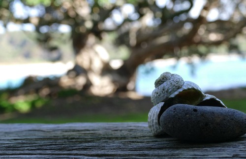 Te Tii House | The Pohutakawa Beach House at Tapuaetahi, Kerikeri.