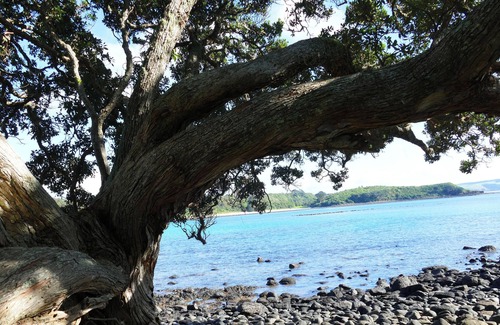 Te Tii House | The Pohutakawa Beach House at Tapuaetahi, Kerikeri.