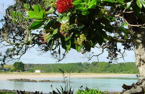Te Tii House | The Pohutakawa Beach House at Tapuaetahi, Kerikeri.