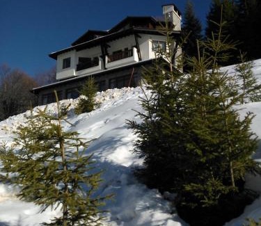 Progled House | The Poppies House