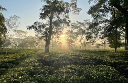 Balipara Hotel | The Postcard in the Durrung Tea Estate, Assam