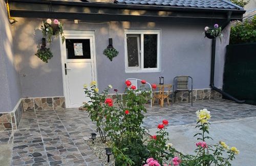 Sector 1 Villa | The Purple House-Villa in Bucharest