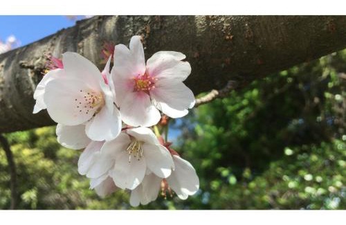 Yoshihama Hotel | THE RETREATMENT YUGAWARA - Vacation STAY 86817v