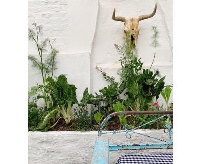 Richmond - NC House | The Richmond Café and Rooms