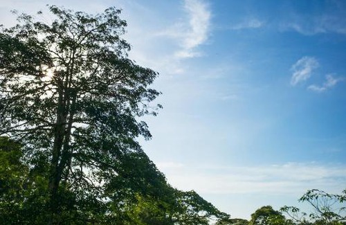 Kulai Hotel | The Riders Resort