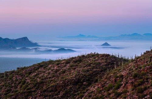 Dove Mountain Resort | The Ritz-Carlton, Dove Mountain