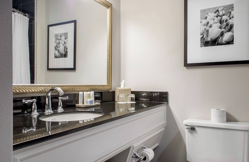 Central Business District Hotel | The Riverfront Hotel New Orleans