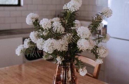 Forest Grove Cottage | The Row - Cottage 4, Forest Grove near Margaret River