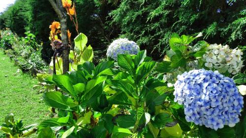 Nuwara Eliya Bed & Breakfast | The Royal Terrace Holiday Bungalow