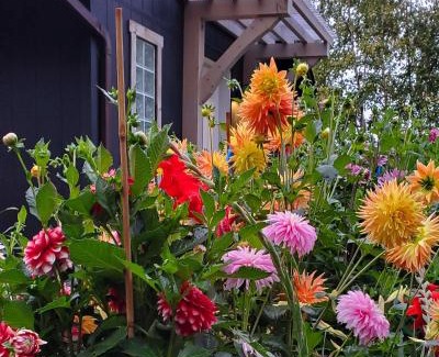Clearwater Bed & Breakfast | The Rusty Antler Suite
