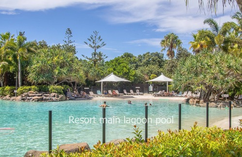 Kingscliff Apartment | The Sand Resort Kingscliff - One Bed Small Pool View (7222) - Holiday Management Co.