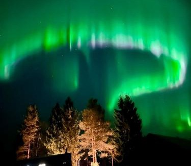 Rovaniemi House | The Saunacabin Enchanted Lapland