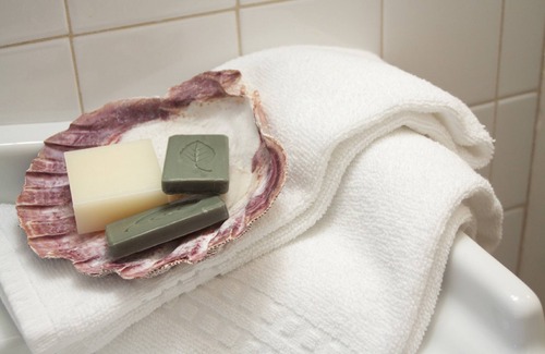 Madison Center Bed & Breakfast | The Scranton Seahorse Inn
