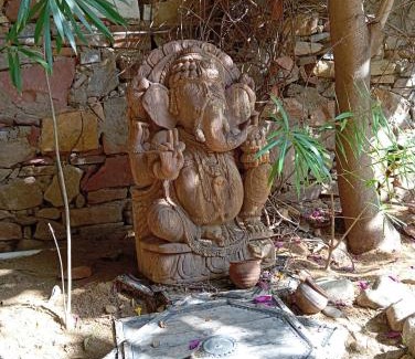 Pushkar Bed & Breakfast | the secret garden