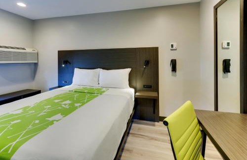 Cicero Hotel | The Shamrock