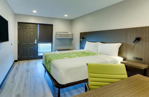 Cicero Hotel | The Shamrock