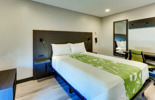 Cicero Hotel | The Shamrock