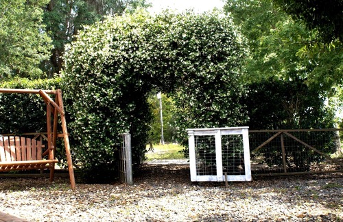 Brooksville Cottage | The Shebeen A small Irish cottage,come experience the enchantment and trnquility