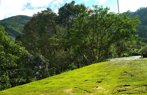 Kaul House | The Silent Valley River Kalsa-Organic Farm Stay