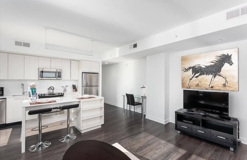 Reston Apartment | The Spectrum at RTC Nearby | High Speed Internet | Fairfax