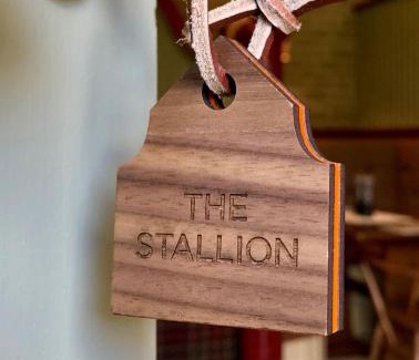 Matfen House | The Steed
